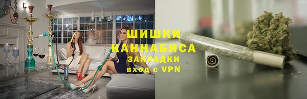 индика Балабаново